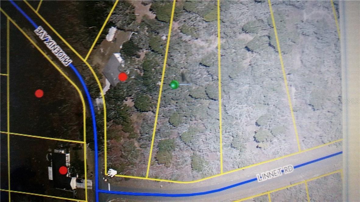 11440 Linnet Rd., Weeki Wachee, FL 34614