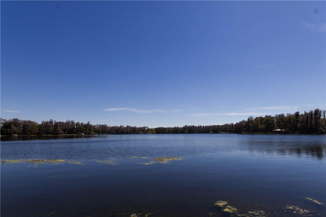 314 Deer Cove Ln., Lutz, FL 33548