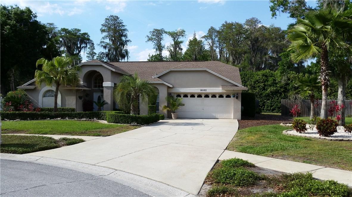 18103 Fairpoint Pl., Lutz, FL 33548