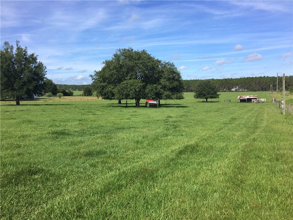 17775 Parrish Grove Rd., Dade City, FL 33523