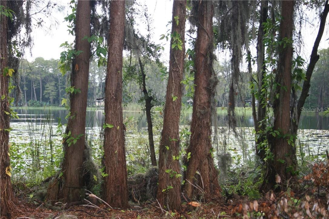 Lake Charles Circle, Lutz, FL 33548