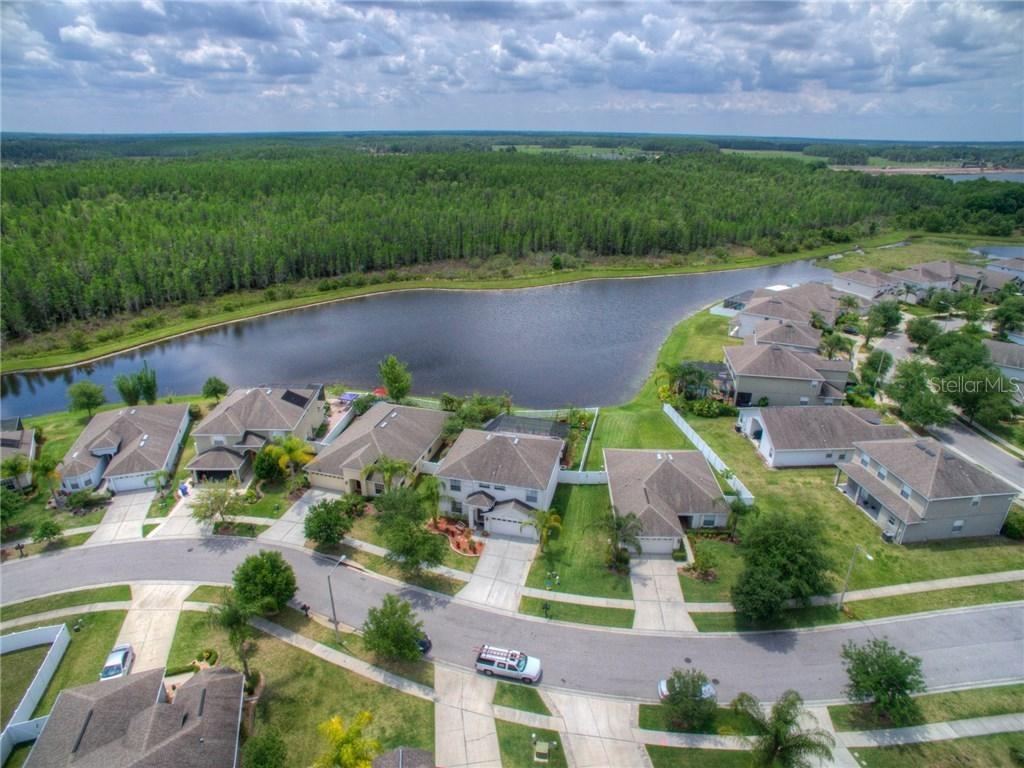 18204 Holland House Loop, Land O Lakes, FL 34638