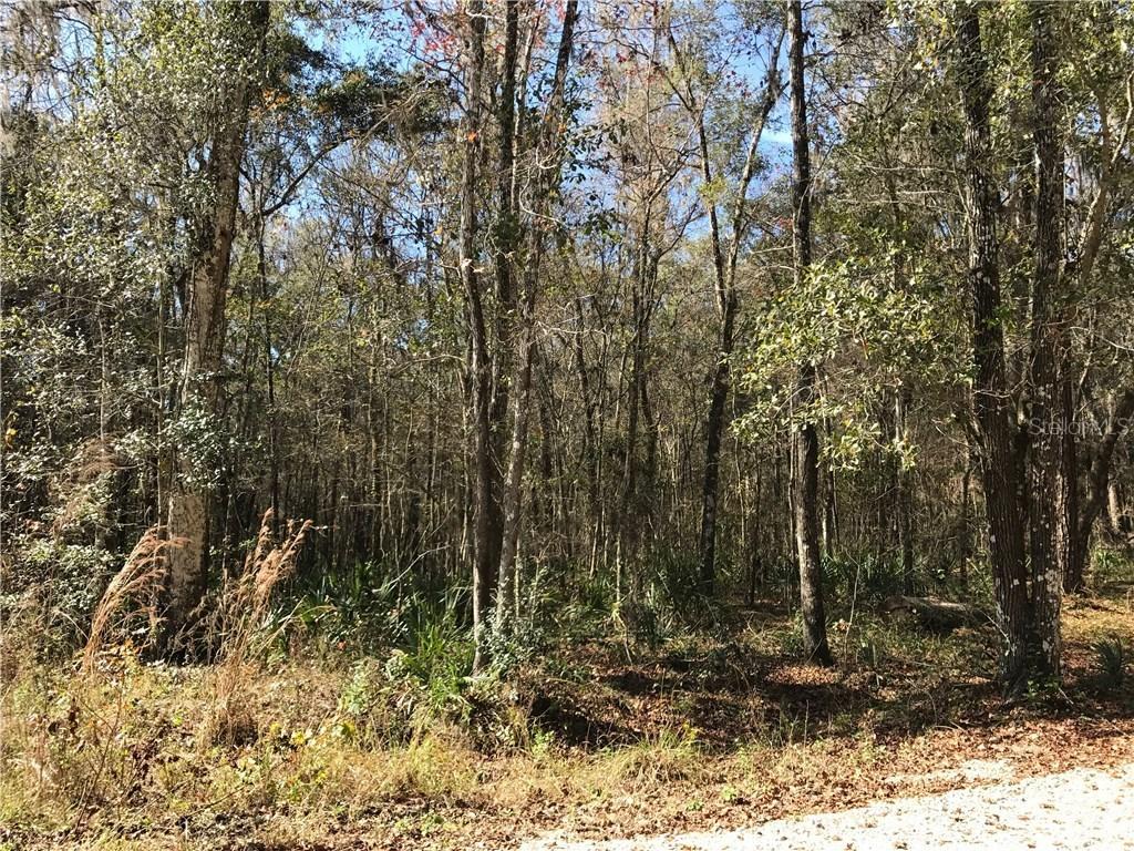 Bubbles Ln., Brooksville, FL 34601