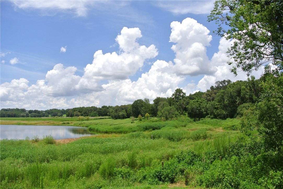 3283 Neff Lake Rd., Brooksville, FL 34602