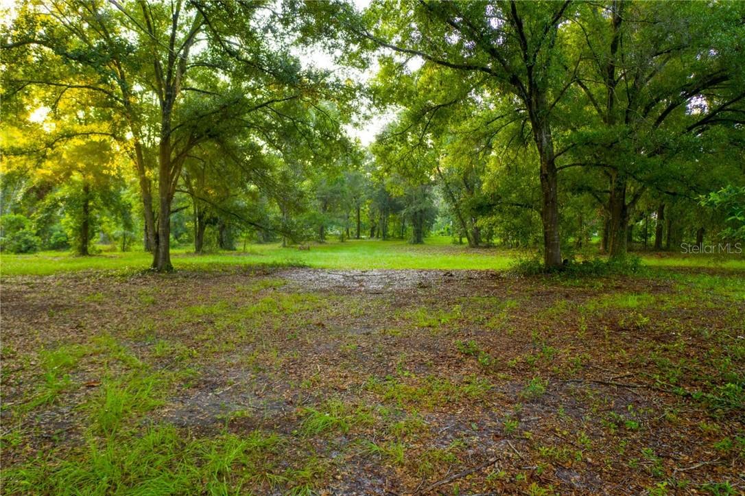 2410 Wallace Rd., Lutz, FL 33549