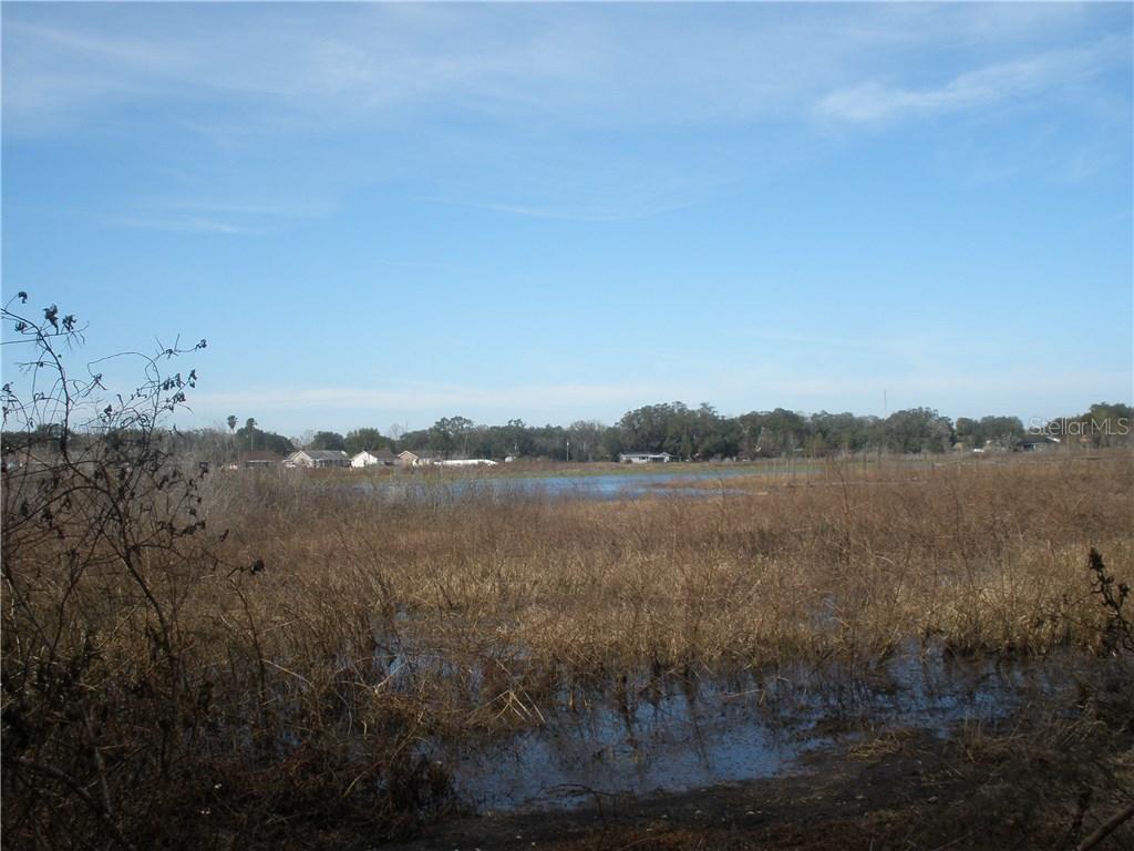 Pretty Pond Rd., Zephyrhills, FL 33542