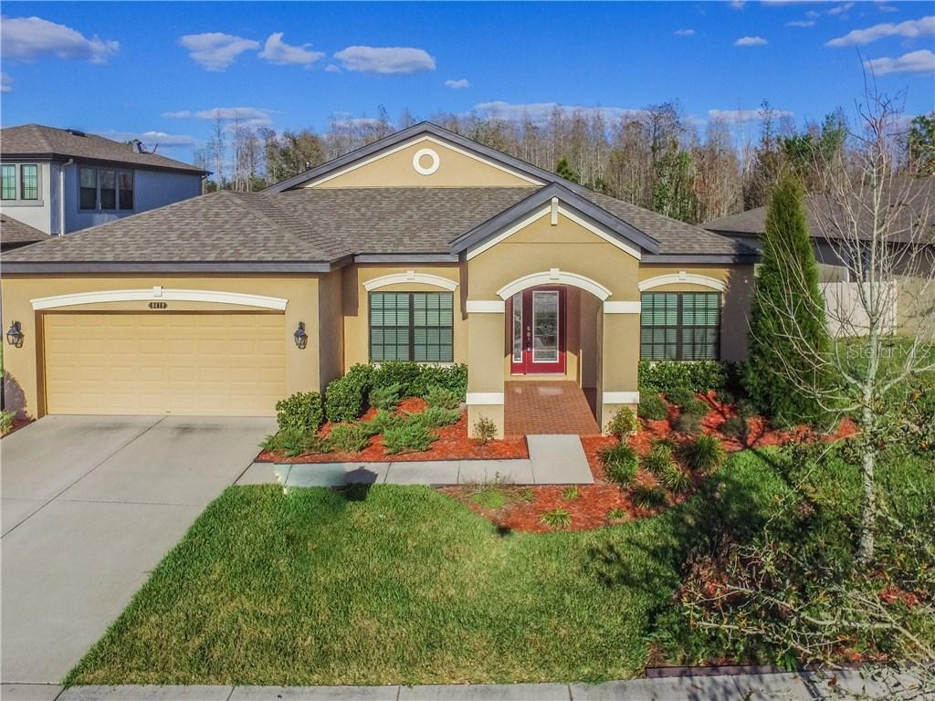 8418 Bluevine Sky Dr., Land O Lakes, FL 34637