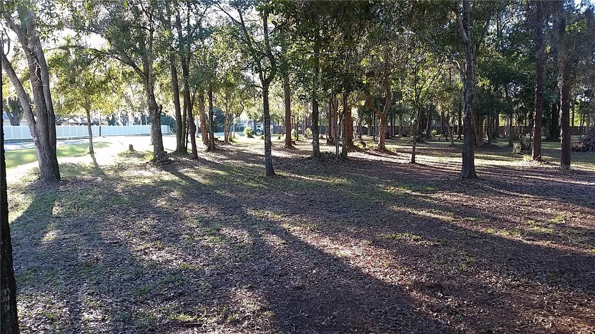 Bell Lake, Land O Lakes, FL 34639
