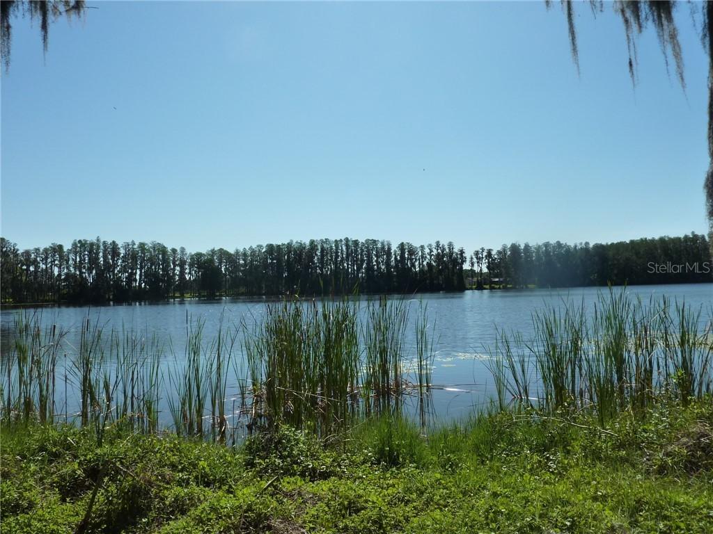 Wisteria Loop Rd., Land O'lakes, FL 34638