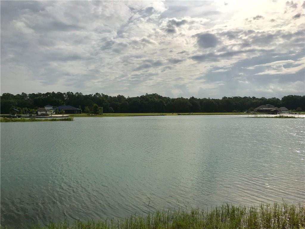 24023 Hideout Tr., Land O Lakes, FL 34639