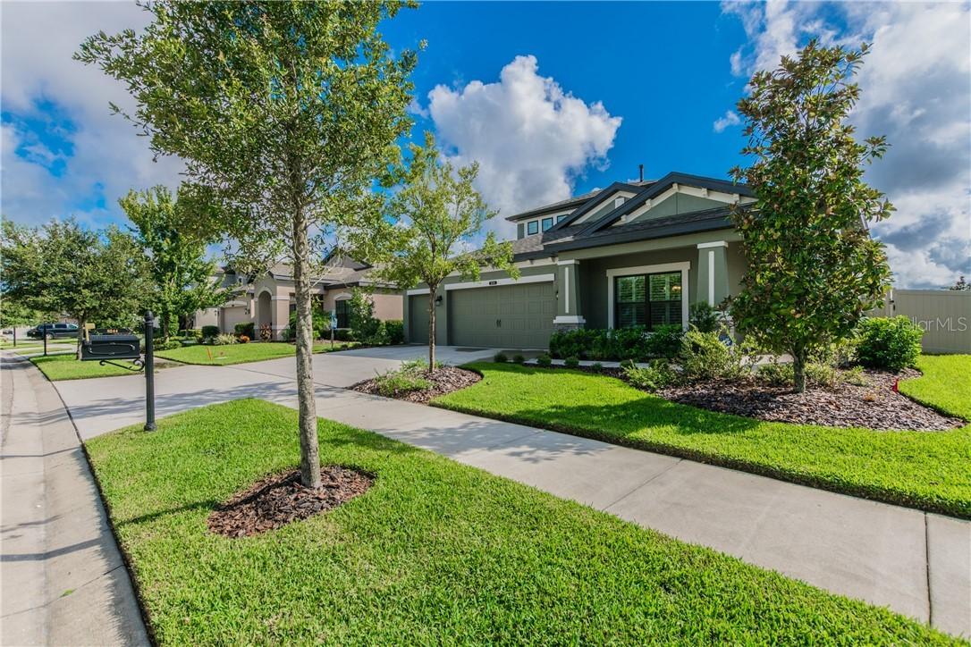 8244 Sequester Loop, Land O Lakes, FL 34637