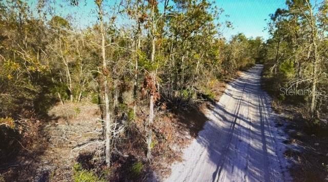 Clearwater Creek Lane, Perry, FL 32348