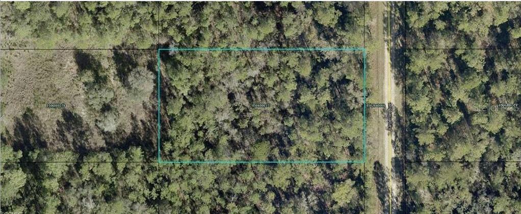 10065 Carpenter Ave., Hastings, FL 32145