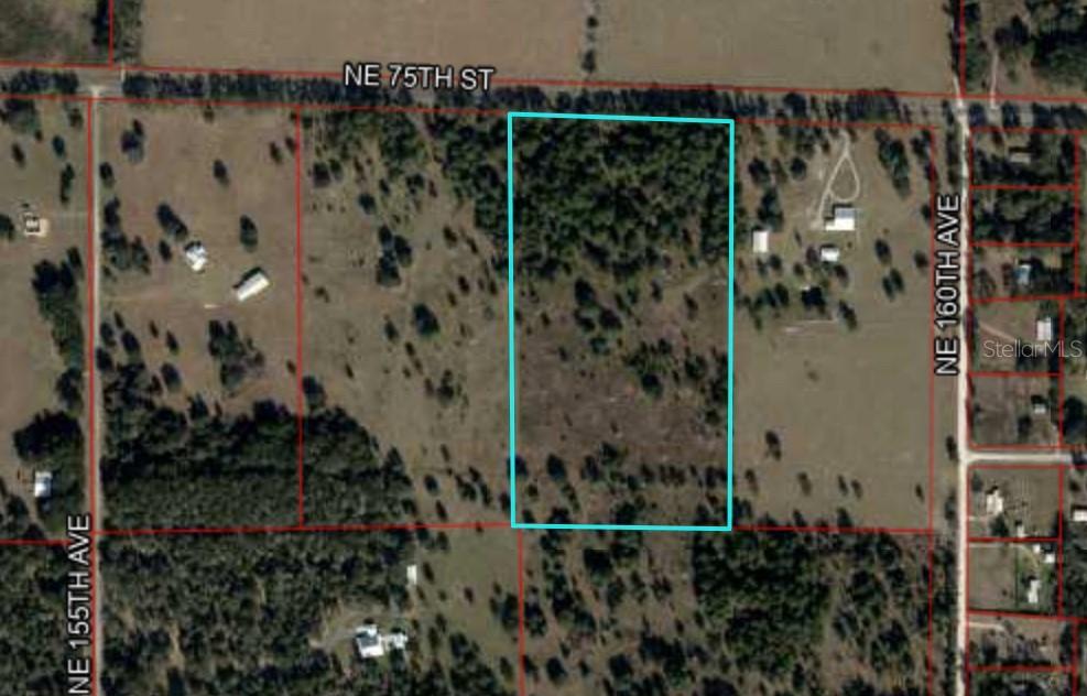 000 NE 75 St., Williston, FL 32696