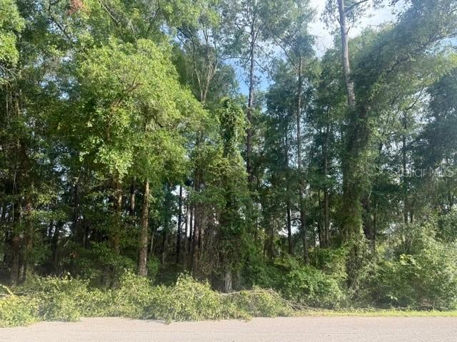 TBD NW 47th Pl., Ocala, FL 34482