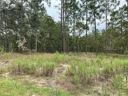 000 NW Ridgewood Rd., Dunnellon, FL 34431