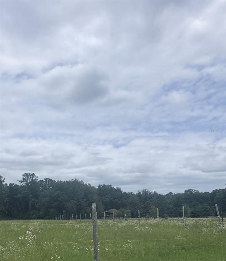 2350 NW 13th Ave., Lake Panasoffkee, FL 33538