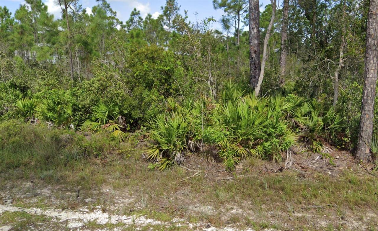 12067 Platano Dr., Punta Gorda, FL 33955