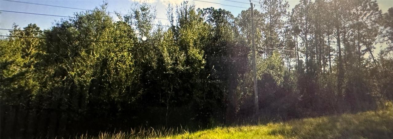 [Address Hidden by Seller], Polk City, FL 33868