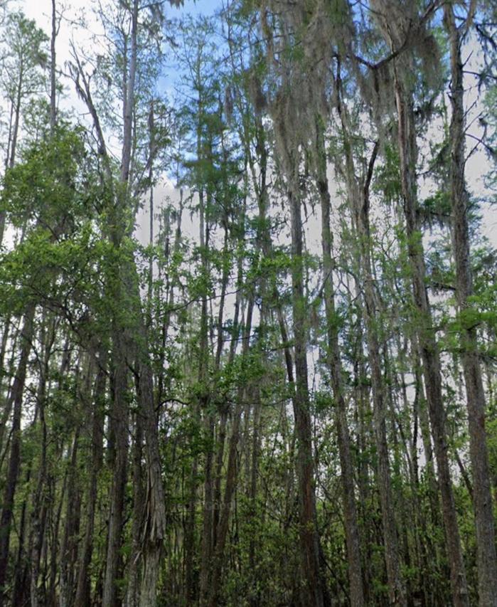 [Address Hidden by Seller], Polk City, FL 33868