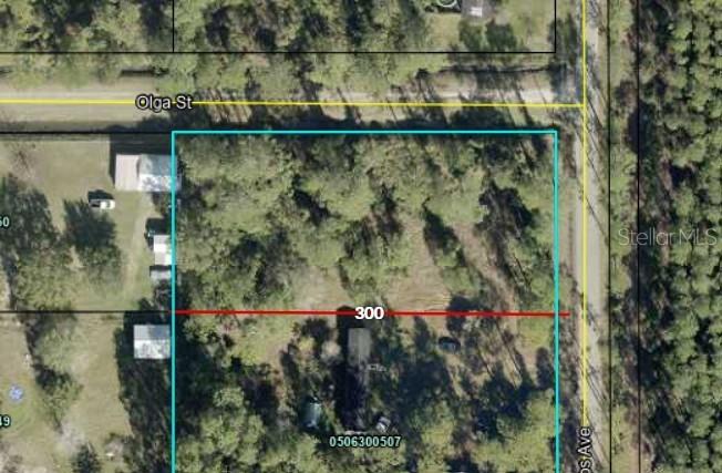 Amos Ave., Hastings, FL 32145