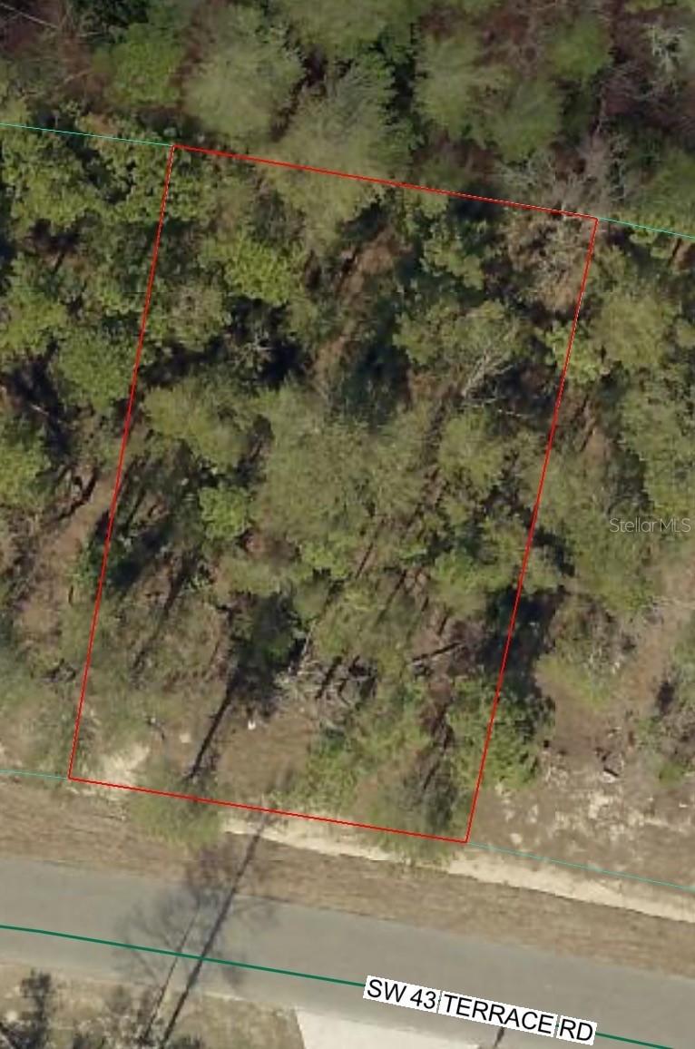 Sw 43 Ter., Ocala, FL 34473