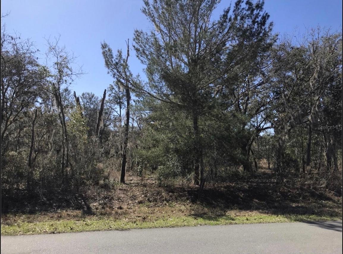 1994 Cr 243 A, Wildwood, FL 34785