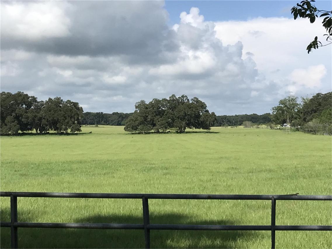 Cr 223, Oxford, FL 34484