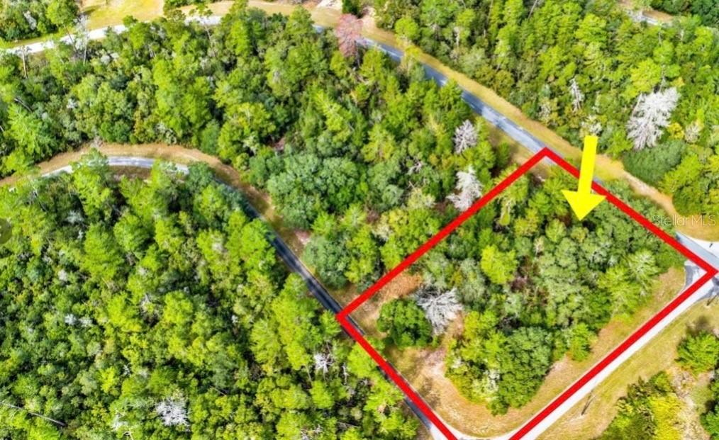 SW 148th Place Rd., Ocala, FL 34473