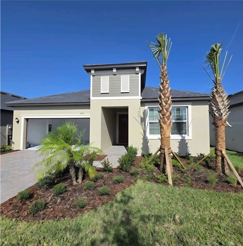 10411 Minnow Ray Dr., Land O Lakes, FL 34638