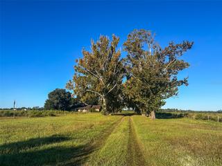 New Homes with In-ground Swimming Pools in Umatilla: October 18th to October 24th