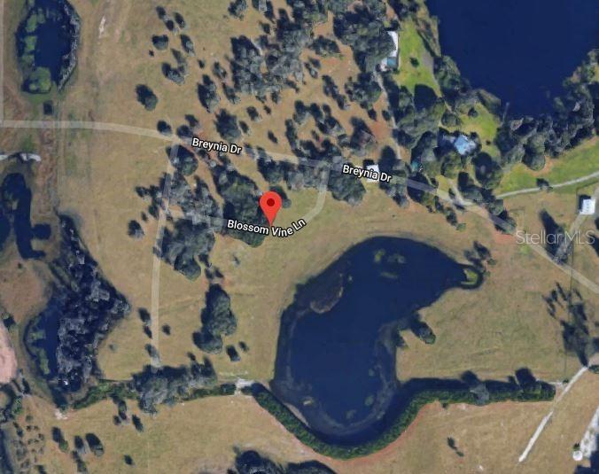 19412 Blossom Vine Ln., Lutz, FL 33548