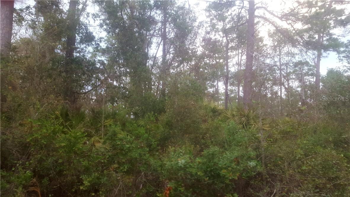 113 Old Spanish Bluff Rd., East Palatka, FL 32131