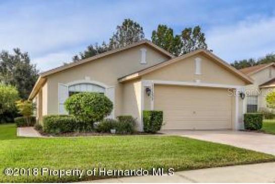 11132 Heathrow Ave., Spring Hill, FL 34609