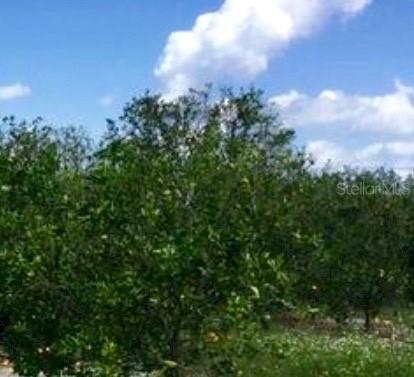 SW Dishong Ave., Arcadia, FL 34266