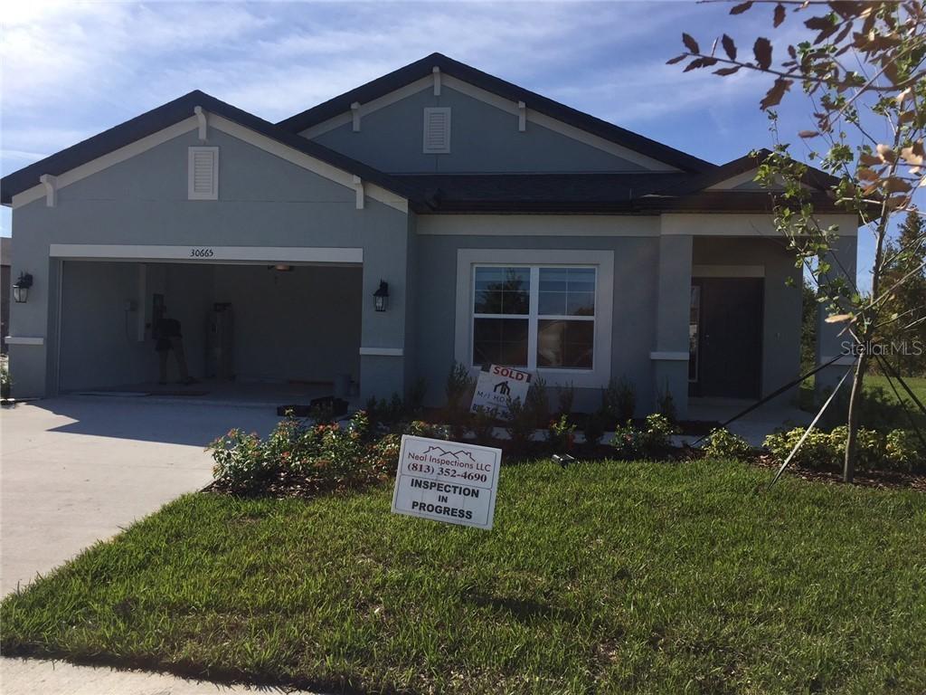 30665 Parrot Reef Ct., Wesley Chapel, FL 33545