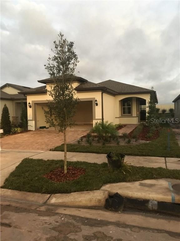19319 Coastal Shore Ter., Land O Lakes, FL 34638