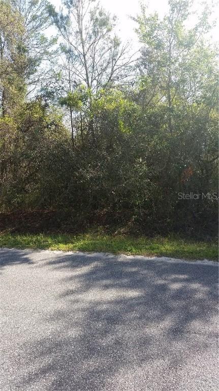 39128 Forest Dr., Eustis, FL 32726