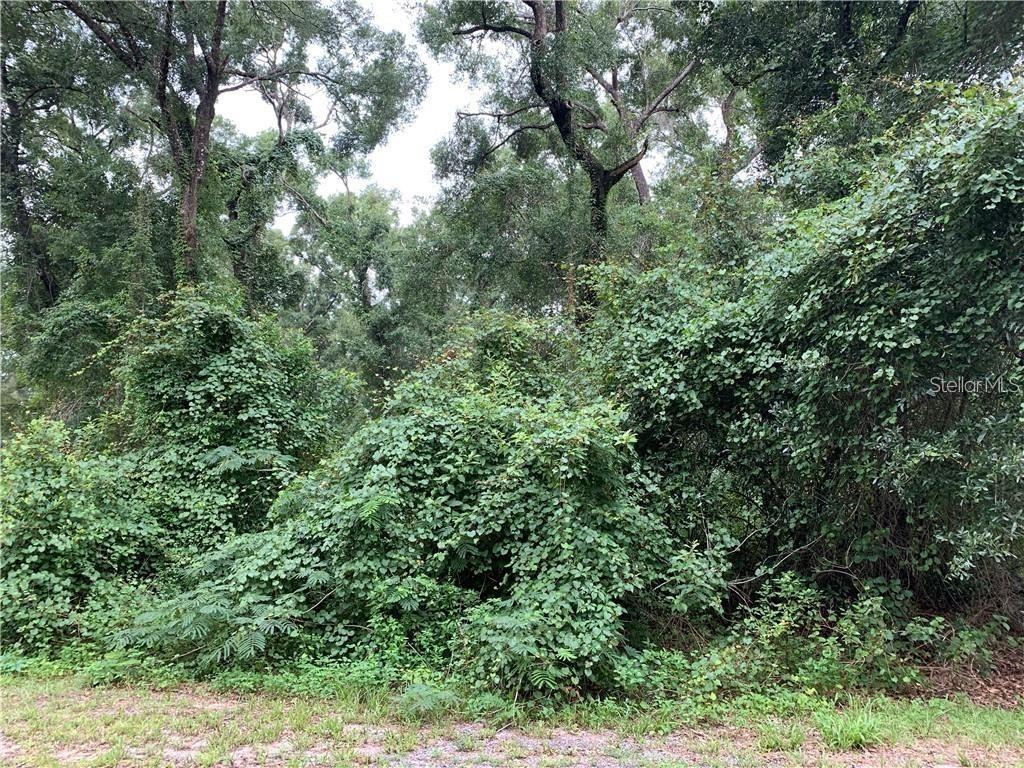 North St., New Smyrna Beach, FL 32168