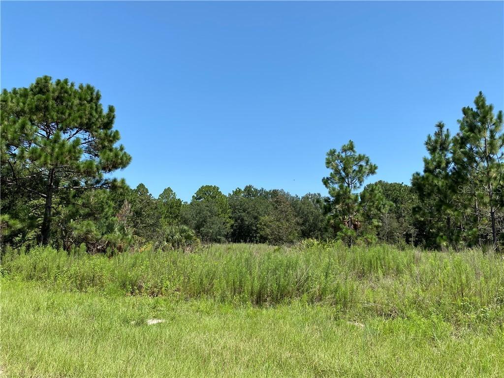 8213 W Milano Ln., Crystal River, FL 34428