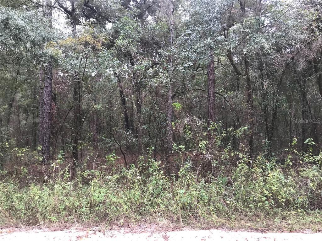 SW 44th Cir., Ocala, FL 34473