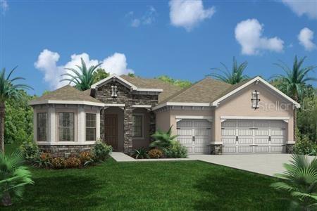 19880 Bluebird Meadow Dr., Lutz, FL 33558