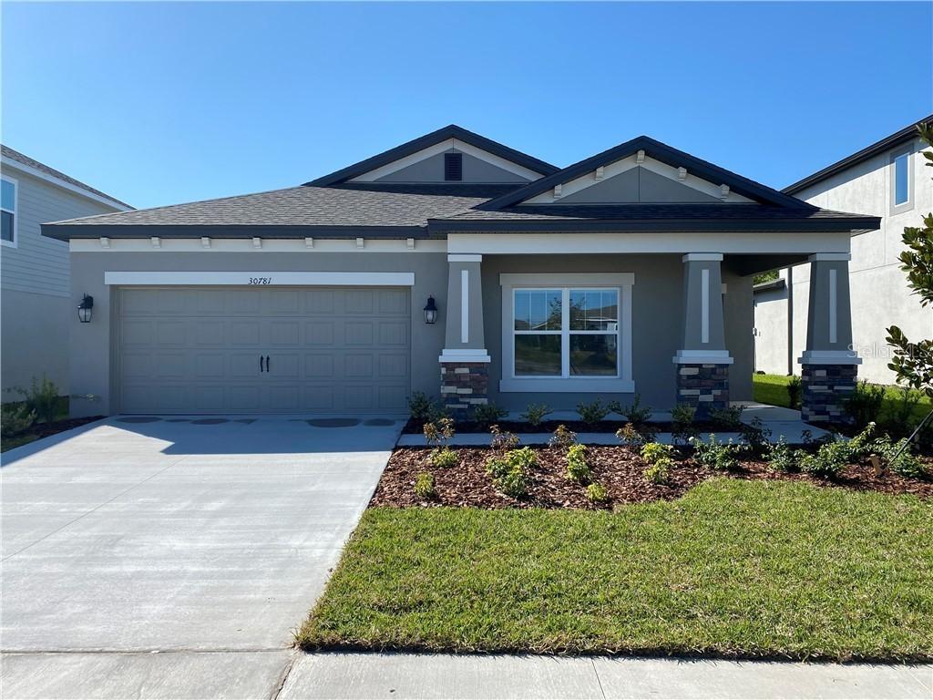 30781 Parrot Reef Ct., Wesley Chapel, FL 33545