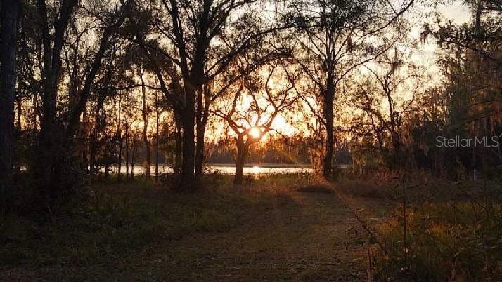 1011 Friendship Ln., Lutz, FL 33548