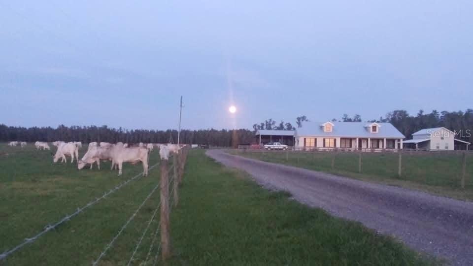 11651 Moore Rd., Lakeland, FL 33809