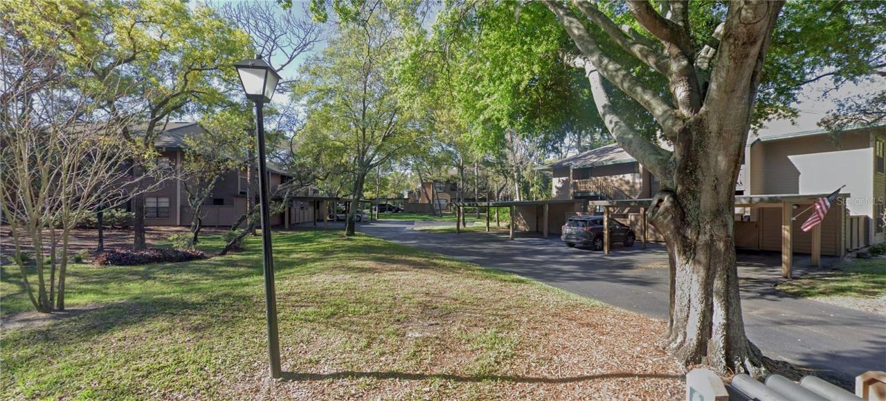 503 Lennox Rd., Palm Harbor, FL 34683