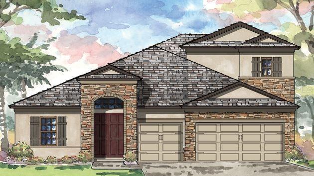 22039 Woodshadow Way, Land O Lakes, FL 34637