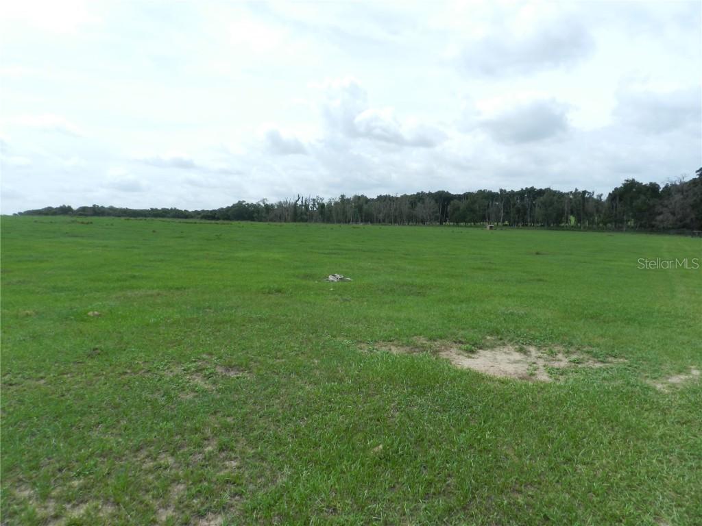 12335 Prosser Rd., Dade City, FL 33525