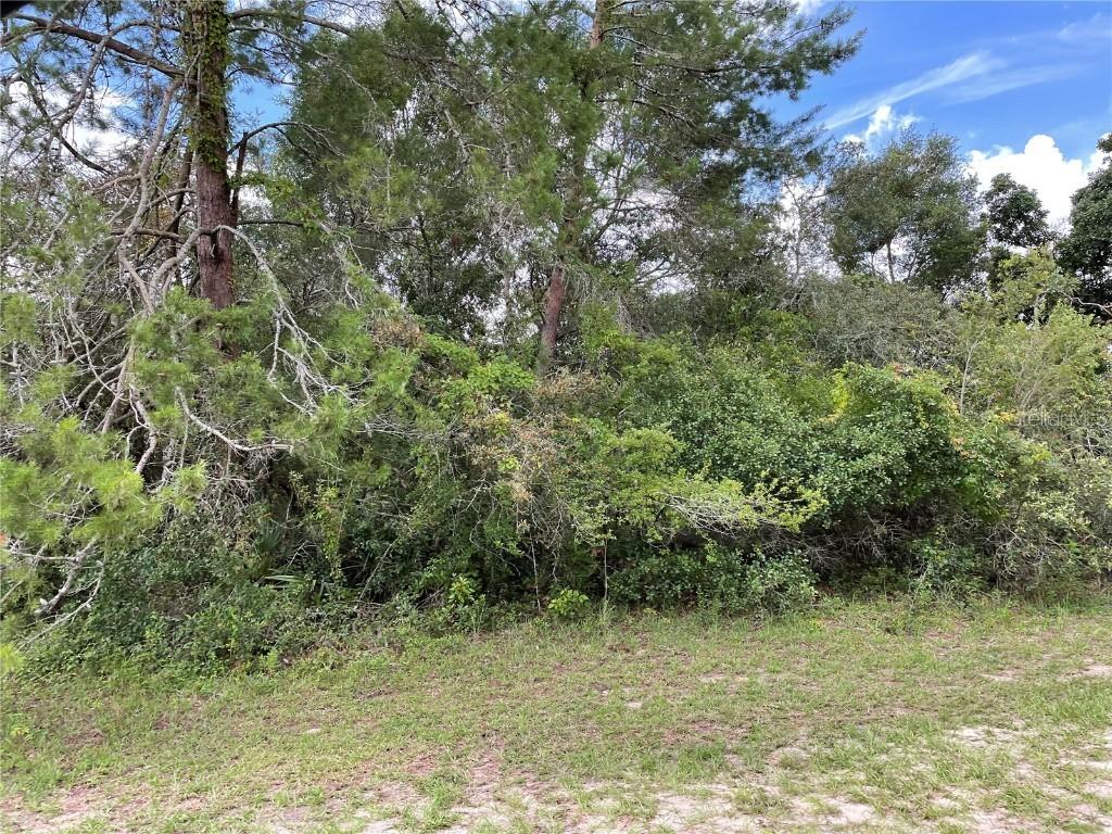 Sw 153rd Place Rd., Ocala, FL 34473