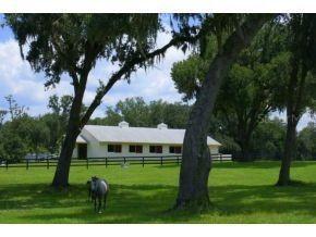 8213 NW Highway 326, Ocala, FL 34480